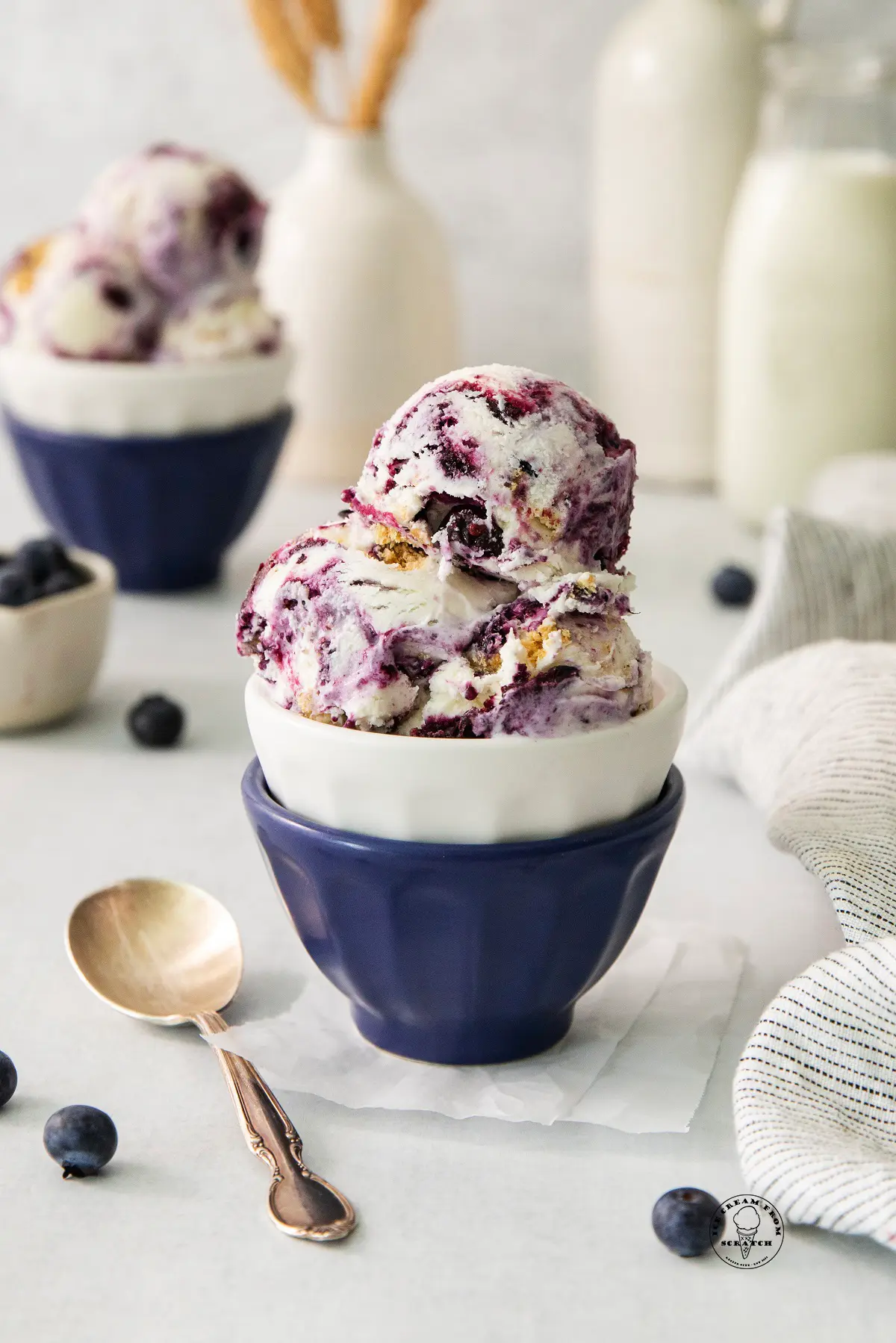 /images/icecream/webp/flavors/Blueberry-Cheesecake-Ice-Cream-1.2.webp